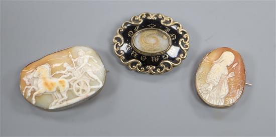 Two cameo brooches and a black enamel mourning brooch, largest 65mm.